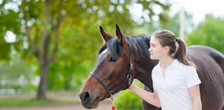 Equine Adoption Dos and Don’ts A young girl with a bay horse