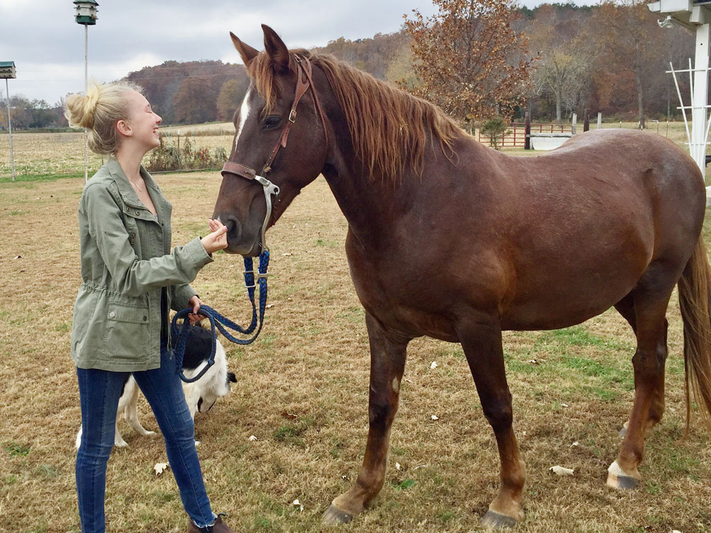 Isabella and her adopted horse, Zeus: equine adoption dos and don'ts
