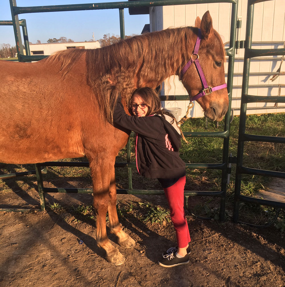 Rose and her adopted horse, Daisy: equine adoption dos and don'ts 