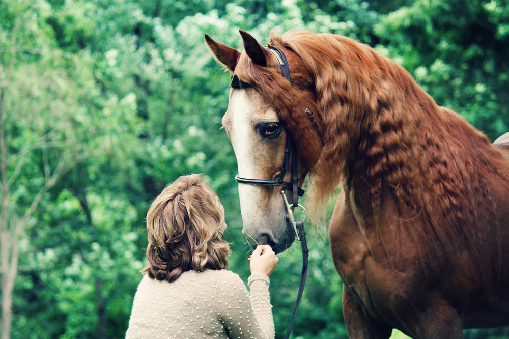 Adopted horse Reese with owner Diana Kitts