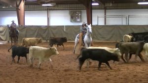 Western Lesson: Cutting Challenge