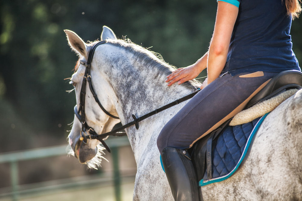 Rider patting a dapple gray horse