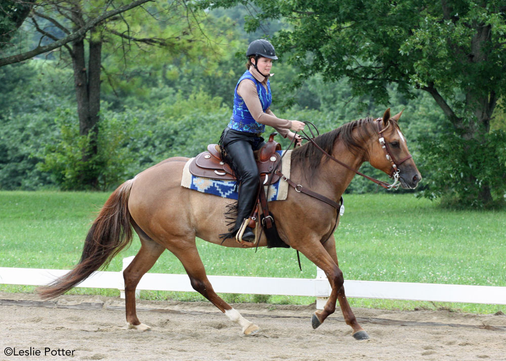 Western dressage lope