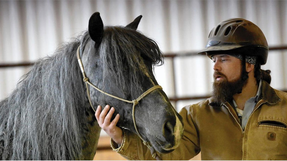 BraveHearts Equine Assisted Therapy