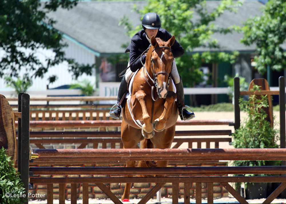 Horse jumping in a hunter class at a horse show