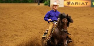 Criollo horse competing in reining