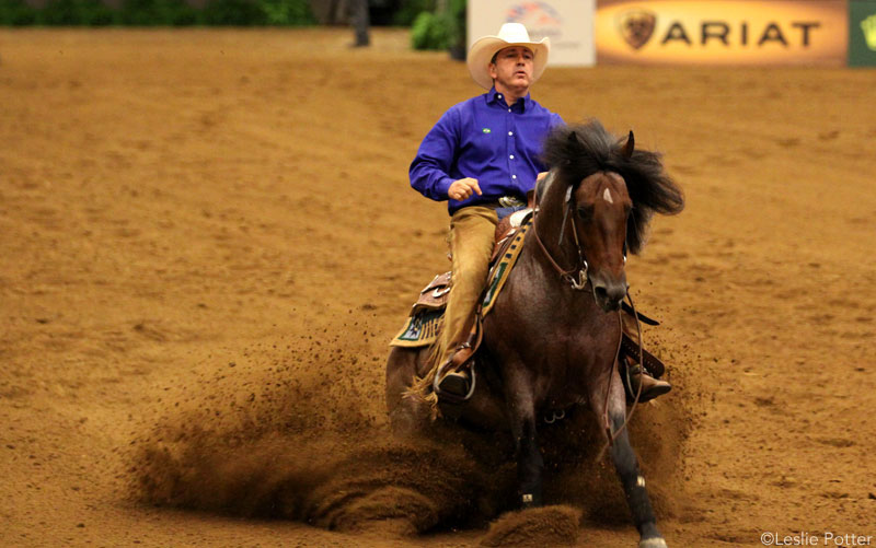 Criollo horse competing in reining