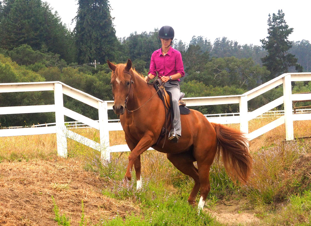 Ditch exercise; horse shoulder tightness