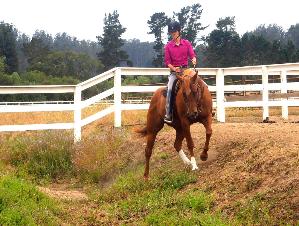Ditch exercise; horse shoulder tightness