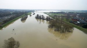 Horses Stranded in Flood in Northamptonshire, England