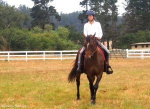 Giravolta: A Turn for the Better