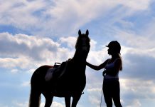 Girl and horse silhouette