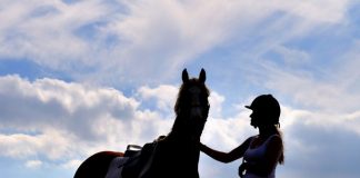 Girl and horse silhouette