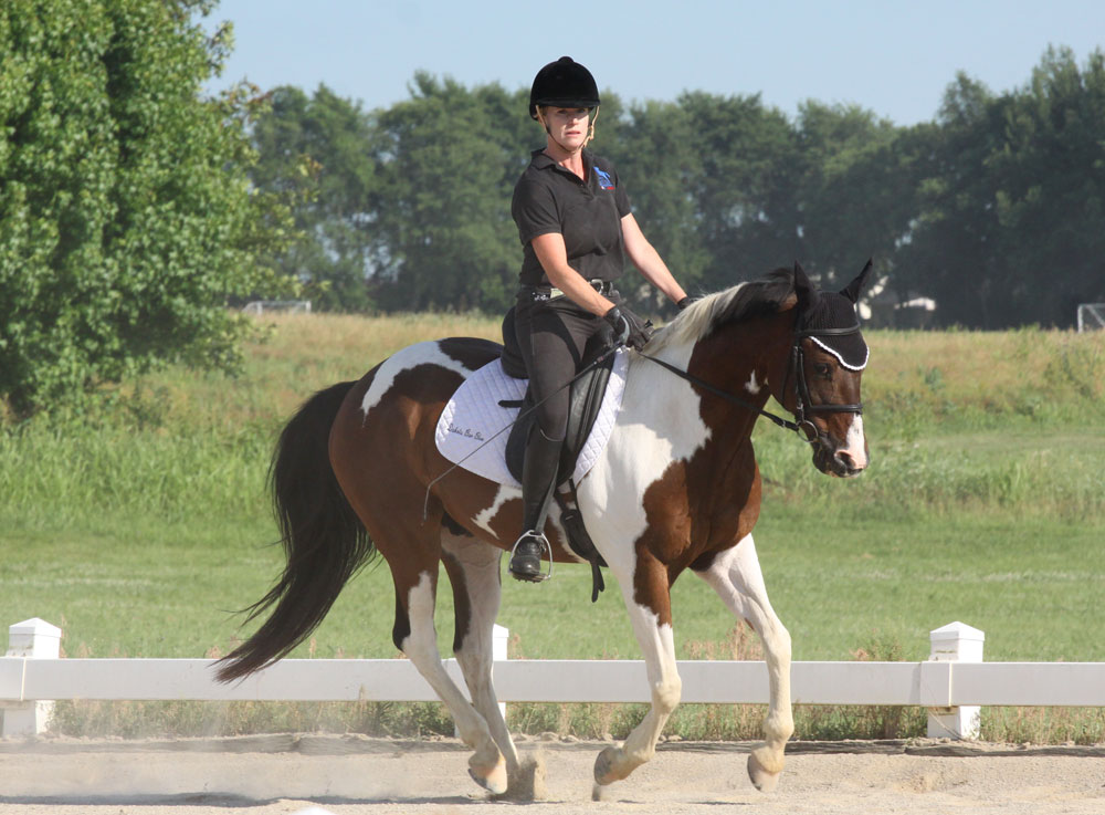 Pinto dressage pony canter