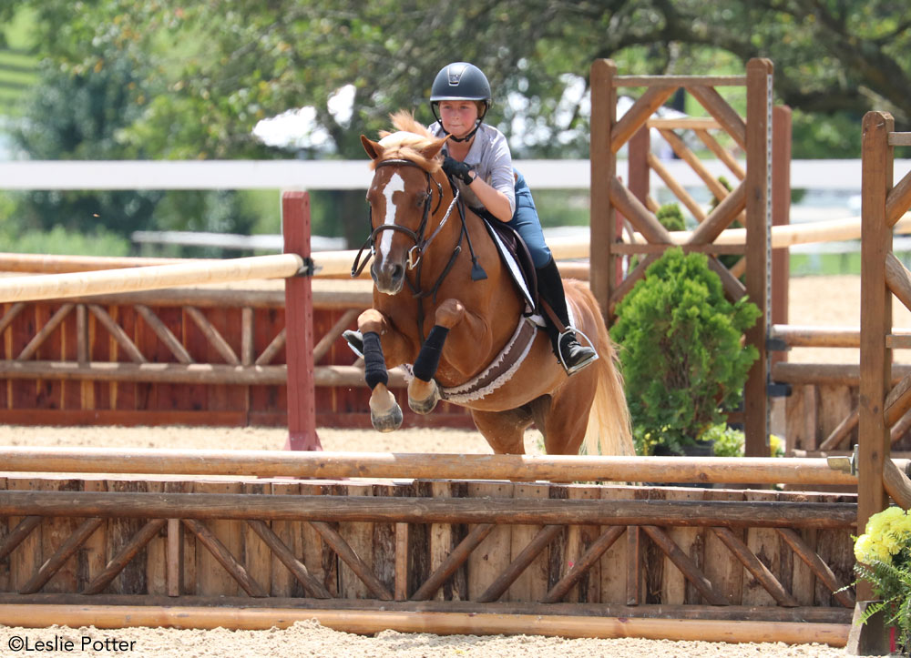 Pony jumping; finding the right distance to a jump