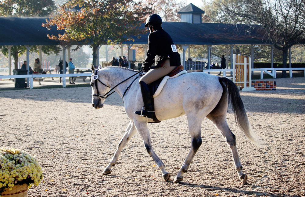 Beverly Strauss riding at the Thoroughbred Makeover; OTTB adoptions