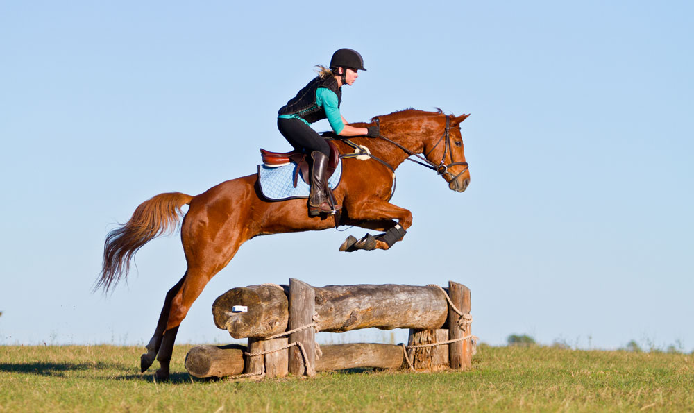 Chestnut horse over a cross-country jump