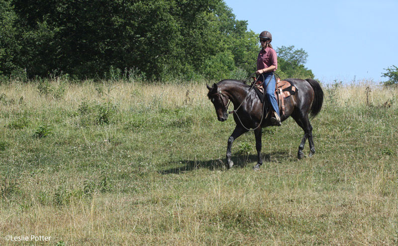 Trail riding downhill