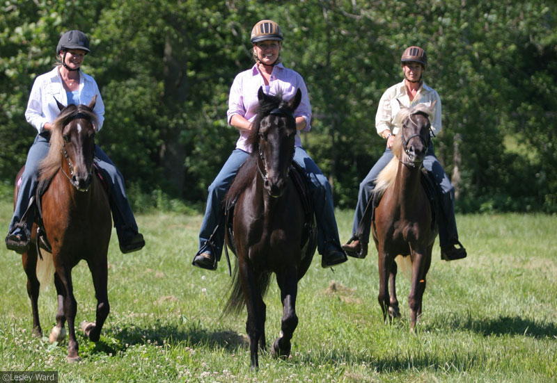 Group trail ride; trail riding club