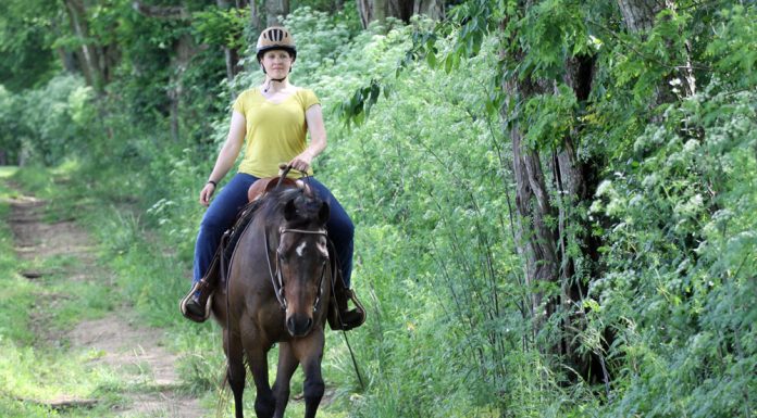 trail riding in the summer