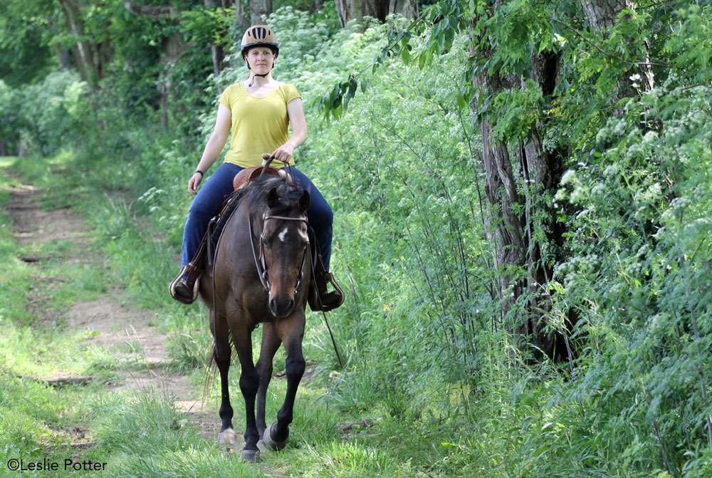 Trail riding in the summer