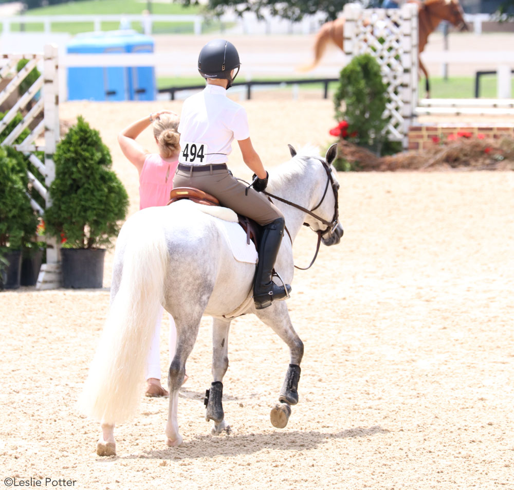 Pony with a clean white tail at a horse show