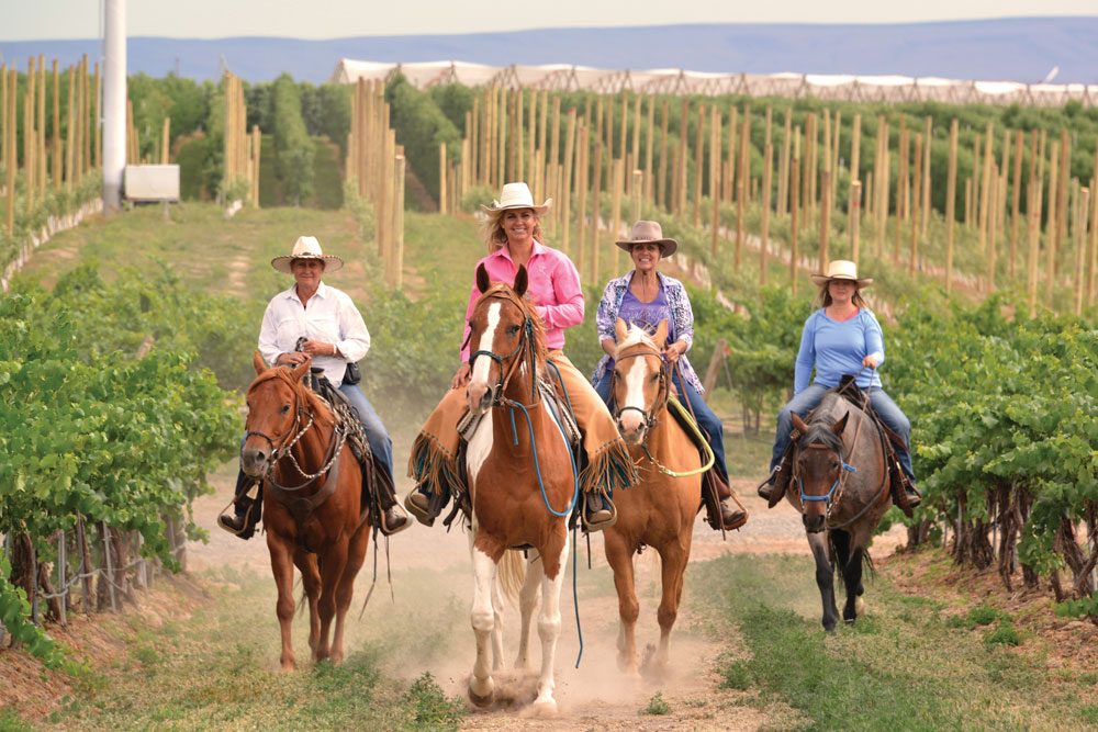 Cherry Wood trail ride