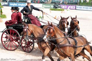 U.S. Driving Team Wins its First-Ever WEG Gold