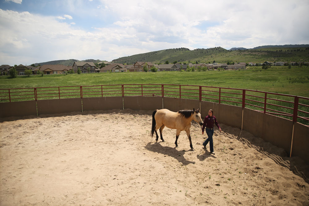 CSU student working with a horse