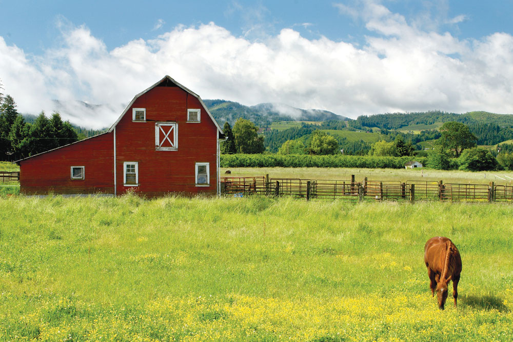 Horse barn