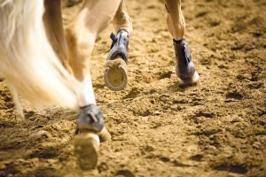 The Trouble with Tendons