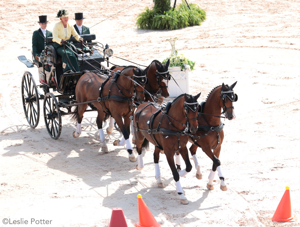 Misdee Wrigley-Miller Set to Judge Harness Horse Class at Valkenswaard -  HorsesDaily