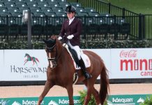 Sanne Voets and Demantur N.O.P.