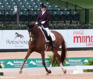 Para-Dressage and Vaulting Launch Second Week of 2018 WEG