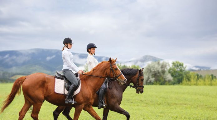 english trail riders