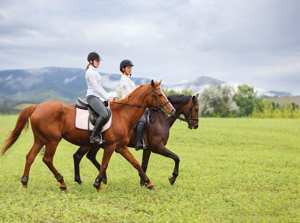 English trail riders