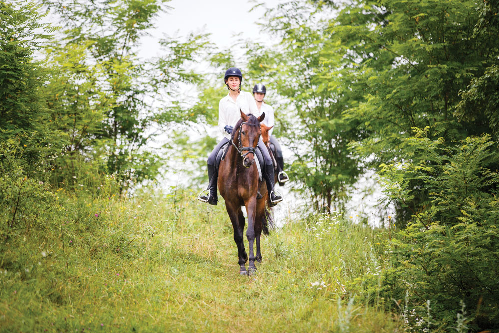 English riders on the trail; calm trail ride