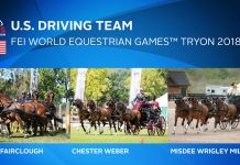 U.S. Combined Driving team for the 2018 WEG
