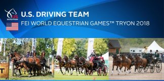 U.S. Combined Driving team for the 2018 WEG