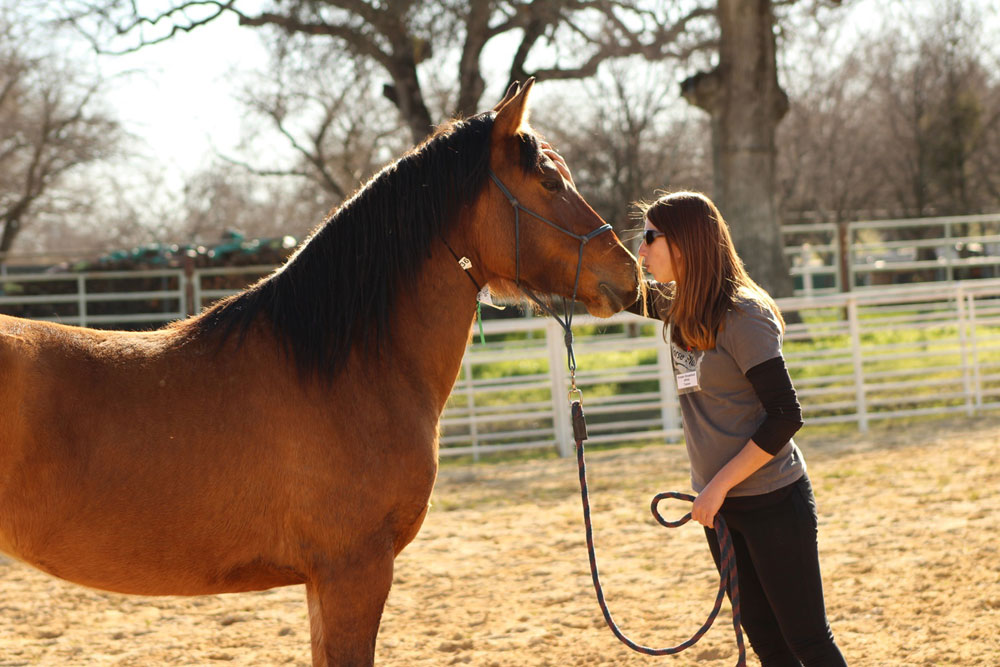 Trainer Kristen Breakfield at Horse Plus working with a horse