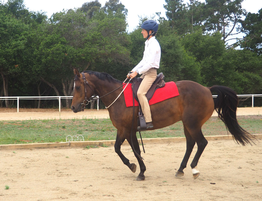Cantering with a neck rope