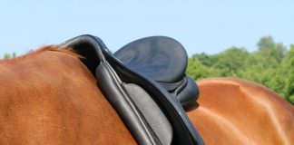 A well fitted English saddle
