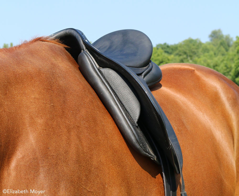 A well fitted English saddle