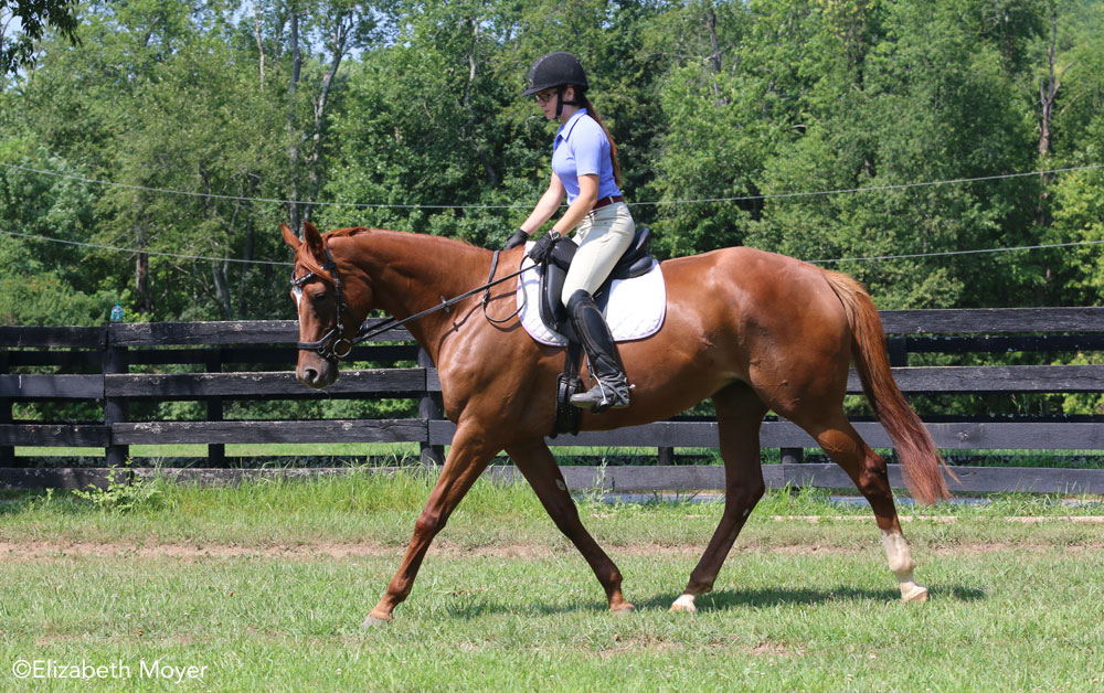 Test riding a new English saddle