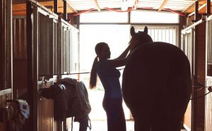 The Volunteer Spirit