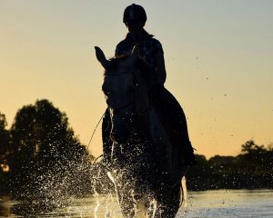 Western Lesson: Teach Your Horse to Go Through Water on the Trail