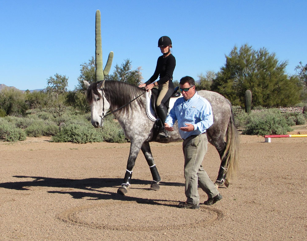 Horseback aikido