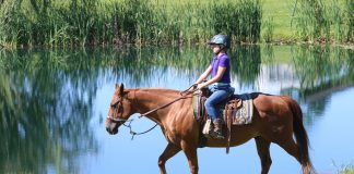 Young girl trail riding