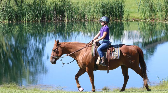 Young girl trail riding
