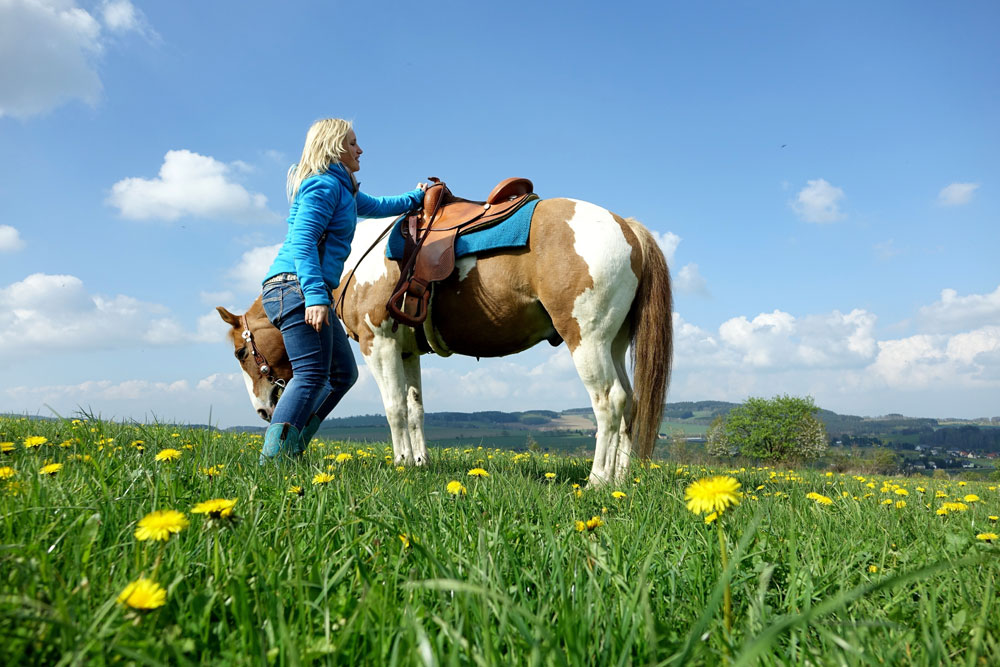 Woman with pinto horse